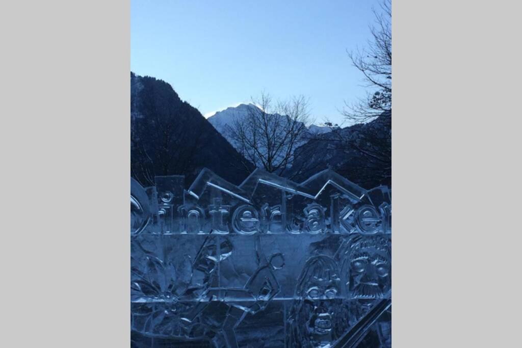 Zentral Gelegene Wohnung Mit Grossem Garten Interlaken Bagian luar foto