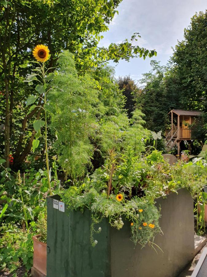 Zentral Gelegene Wohnung Mit Grossem Garten Interlaken Bagian luar foto