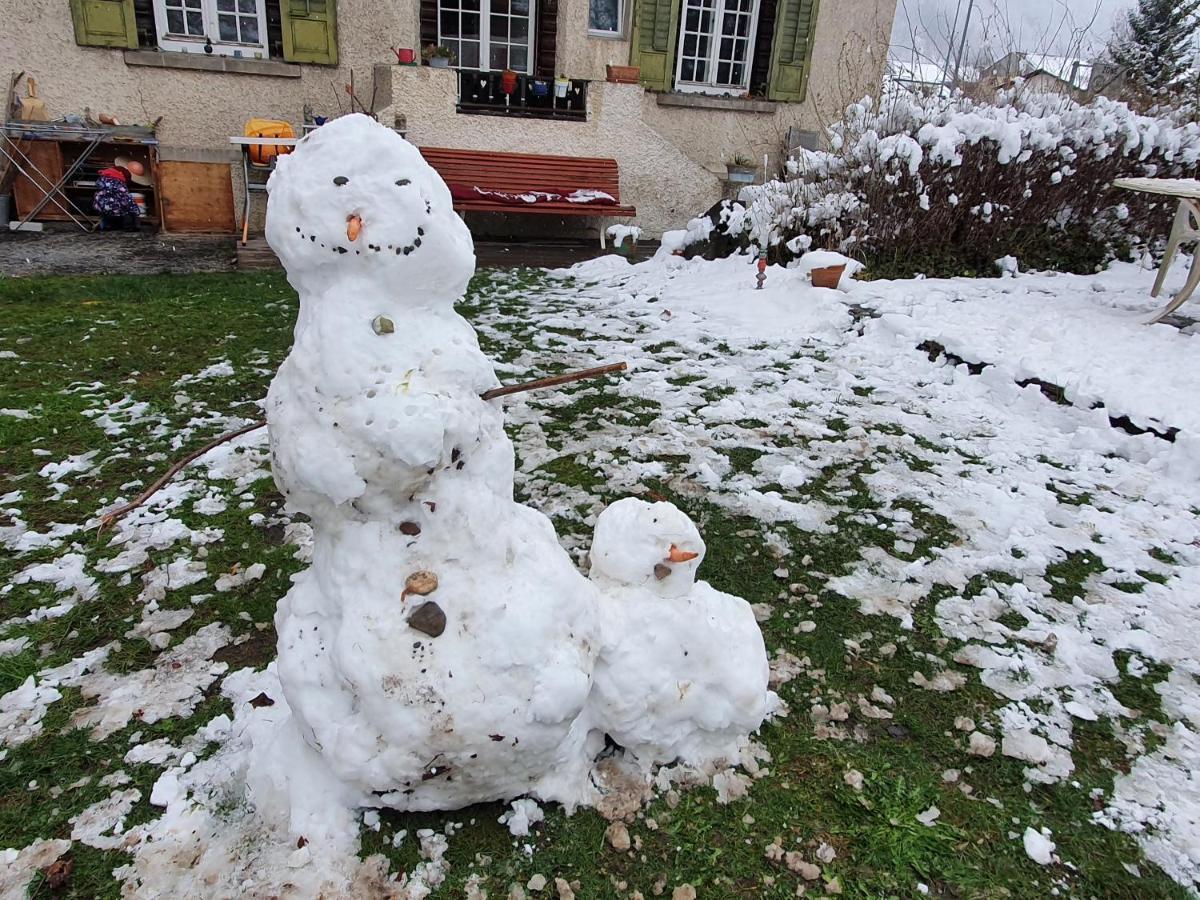 Zentral Gelegene Wohnung Mit Grossem Garten Interlaken Bagian luar foto